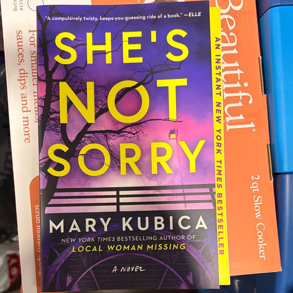 She's Not Sorry by Mary Kubica